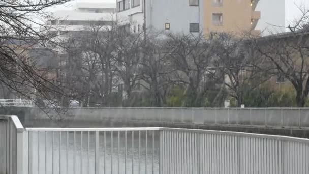 Schnee Fällt Fluss — Stockvideo