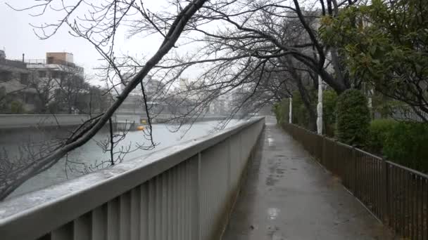 Schnee Fällt Fluss — Stockvideo