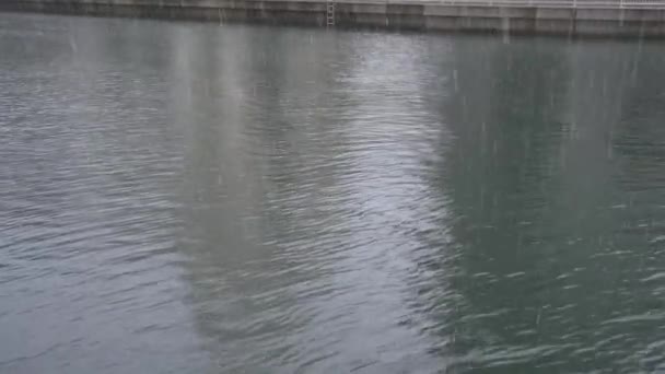 강물에 빠지는 — 비디오