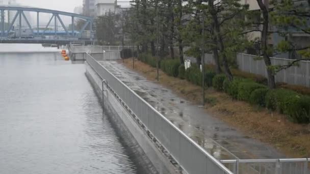 Schnee Fällt Fluss — Stockvideo