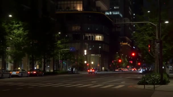Otemachi Japan Tokyo Natudsigt – Stock-video