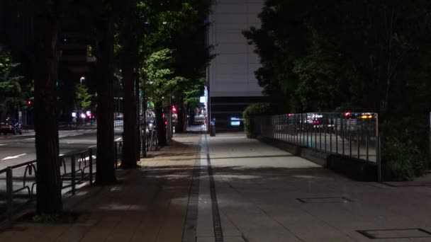 Otemachi Japonsku Tokio Noční Pohled — Stock video