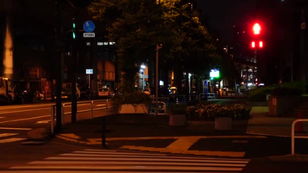 Otemachi Japon Tokyo Vue Nuit — Video