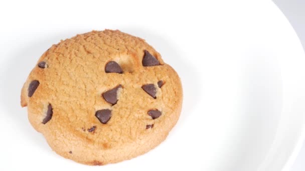 Biscoitos Chocolate Chip Clipe Vídeo Curto — Vídeo de Stock