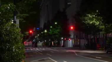 Tokyo Hibiya Yurakucho Gece Manzarası 2021 Haziran