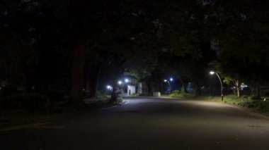 Japonya 'daki Hibiya Parkı, Gece Manzarası