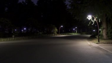Japonya 'daki Hibiya Parkı, Gece Manzarası