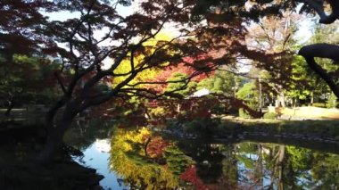 Japonya 'daki Hibiya Parkı, Tokyo Peyzajı