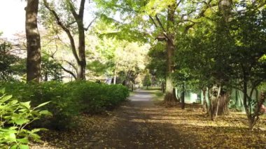 Japonya 'daki Hibiya Parkı, Tokyo Peyzajı