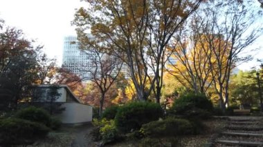 Japonya 'daki Hibiya Parkı, Tokyo Peyzajı