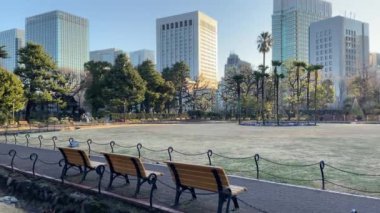 Japonya 'daki Hibiya Parkı, Tokyo Peyzajı