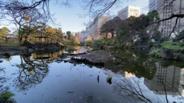 Japonya 'daki Hibiya Parkı, Tokyo Peyzajı
