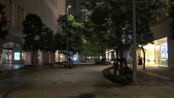Tokio Hibiya Yurakucho Vista Nocturna 2021Jun — Vídeos de Stock