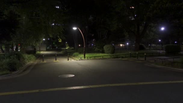Hibiya Park Japánban Éjszakai Nézet — Stock videók