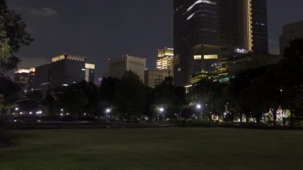Парк Хибия Японии Ночной Вид — стоковое видео