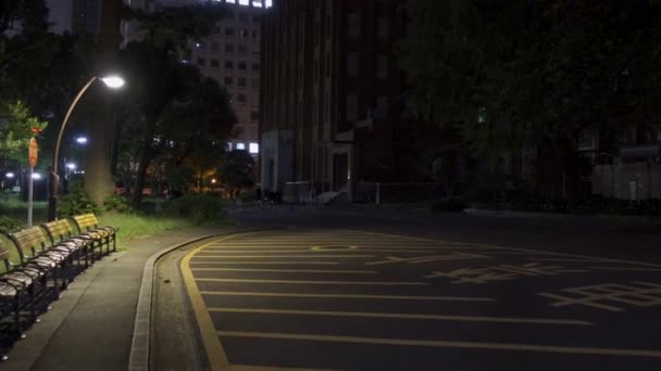 Japonya Daki Hibiya Parkı Gece Manzarası — Stok video