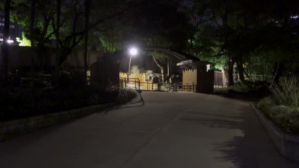 Hibiya Park Japan Night View — 图库视频影像