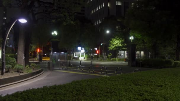 Hibiya Park Japonsku Night View — Stock video