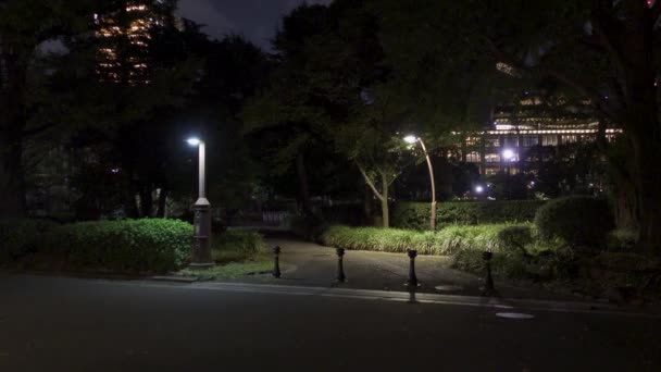 Hibiya Park Japan Nachtzicht — Stockvideo