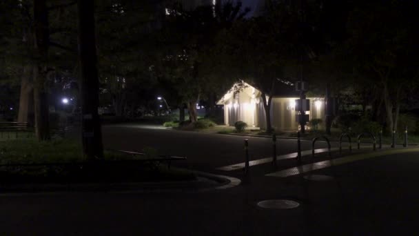 Hibiya Park Japan Nachtansicht — Stockvideo