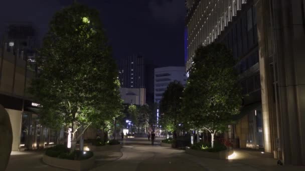 Tokyo Midtown Hibiya Giappone Vista Notturna — Video Stock