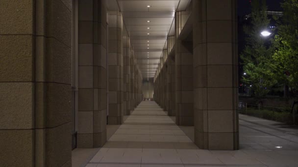 Tokyo Midtown Hibiya Japón Vista Nocturna — Vídeos de Stock