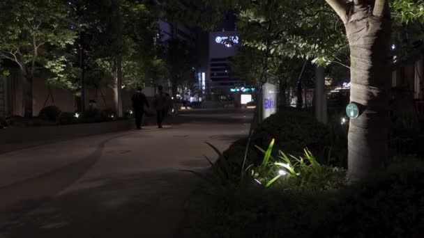 Tokyo Midtown Hibiya Japan Night View — Stock video