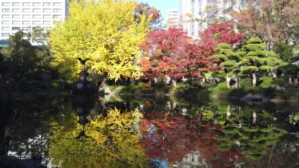 Hibiya Park Japánban Tokiói Táj — Stock videók