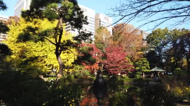 Hibiya Park Japan Landschaft Von Tokio — Stockvideo