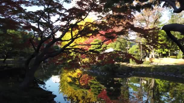 Hibiya Park Japonsku Tokijská Krajina — Stock video