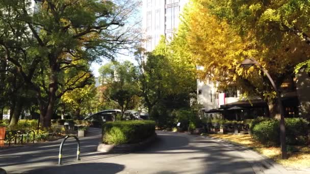 Hibiya Park Japan Tokyo Landskap — Stockvideo