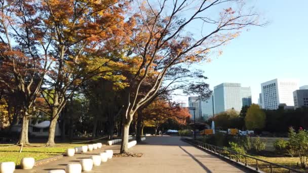 Hibiya Park Japan Tokyo Landscape — Stock Video
