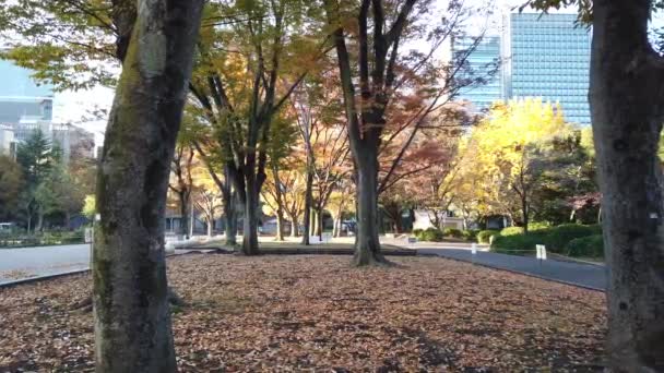 日本海比亚公园 东京景观 — 图库视频影像