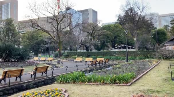 Hibiya Park Japonsku Tokijská Krajina — Stock video