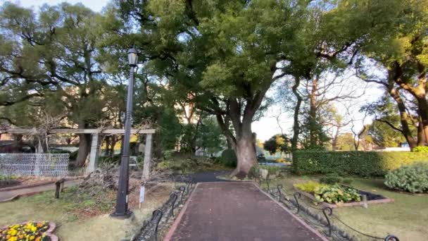 Hibiya Park Japan Tokyo Landscape — Stock Video