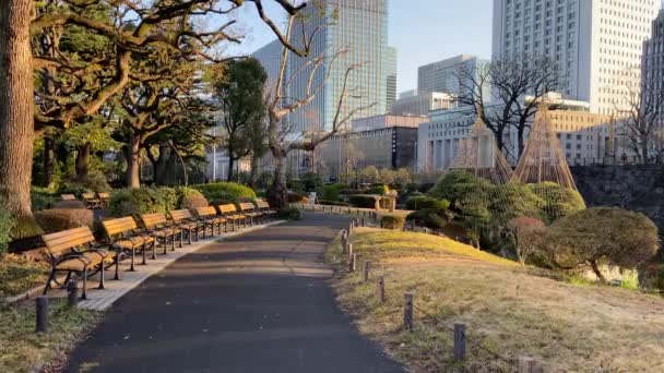 Парк Хібія Японії Токійський Ландшафт — стокове відео