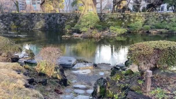 Πάρκο Hibiya Στην Ιαπωνία Τοπίο Τόκιο — Αρχείο Βίντεο