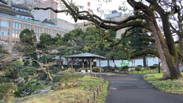 Japonya Daki Hibiya Parkı Tokyo Peyzajı — Stok video
