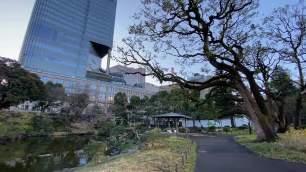 Hibiya Park Japan Tokio Landschap — Stockvideo