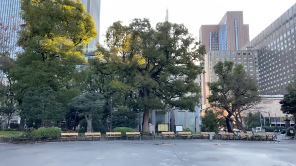 Hibiya Park Japan Tokio Landschap — Stockvideo