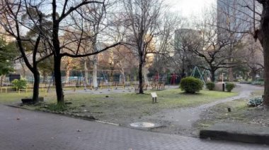 Japonya 'daki Hibiya Parkı, Tokyo Peyzajı