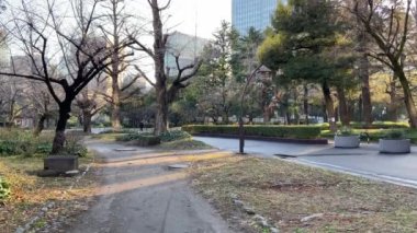 Japonya 'daki Hibiya Parkı, Tokyo Peyzajı