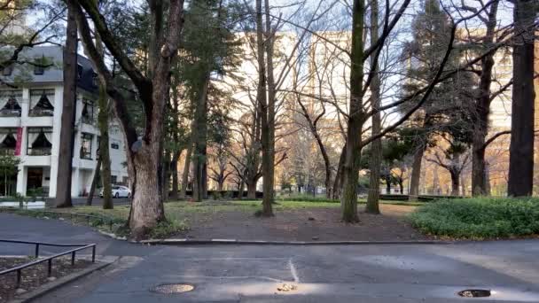 Hibiya Park Japan Tokyo Landskap — Stockvideo