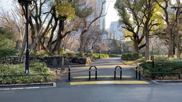 Hibiya Park Japón Tokio Paisaje — Vídeo de stock