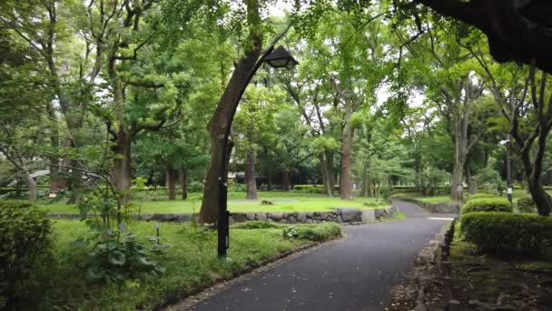 Hibiya Park Japón Tokio Paisaje — Vídeos de Stock