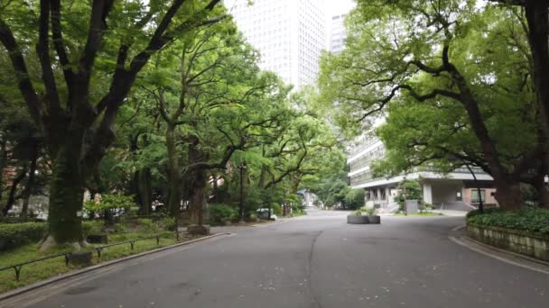 Park Hibiya Japonii Krajobraz Tokio — Wideo stockowe