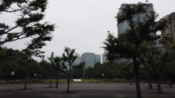 Parc Hibiya Japon Paysage Tokyo — Video