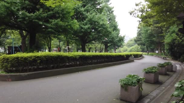 Hibiya Park Japánban Tokiói Táj — Stock videók