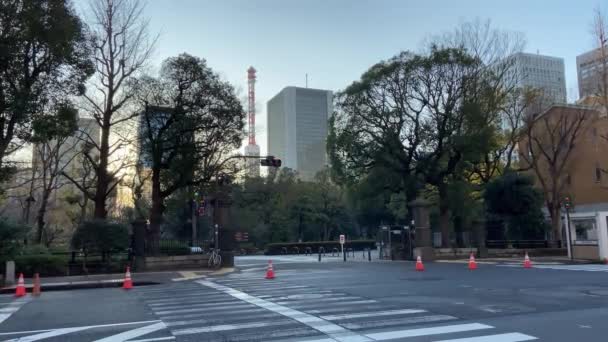 Hibiya Park Japan Tokio Landschap — Stockvideo