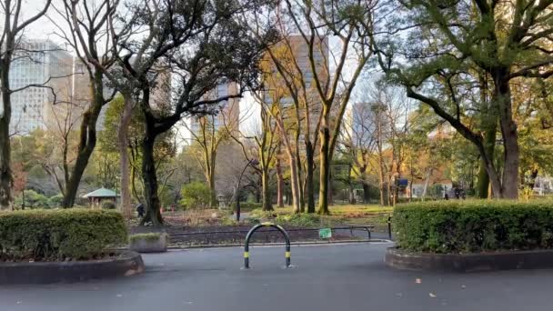 Πάρκο Hibiya Στην Ιαπωνία Τοπίο Τόκιο — Αρχείο Βίντεο